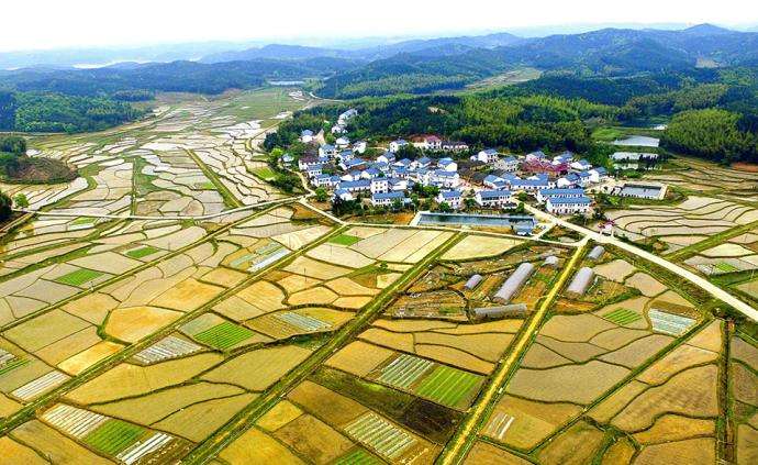 西安市臨潼區(qū)農(nóng)村“房地一體”宅基地和集體建設(shè)用地不動(dòng)產(chǎn)權(quán)籍調(diào)查牽頭服務(wù)采購(gòu)項(xiàng)目、地權(quán)籍調(diào)查服務(wù)采購(gòu)項(xiàng)目